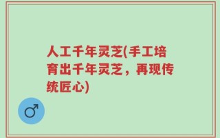 人工千年灵芝(手工培育出千年灵芝，再现传统匠心)