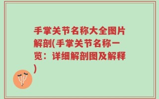 手掌关节名称大全图片解剖(手掌关节名称一览：详细解剖图及解释)