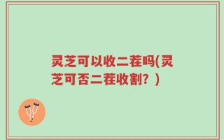 灵芝可以收二茬吗(灵芝可否二茬收割？)