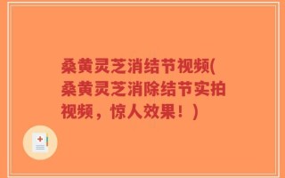 桑黄灵芝消结节视频(桑黄灵芝消除结节实拍视频，惊人效果！)