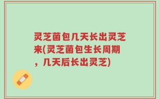 灵芝菌包几天长出灵芝来(灵芝菌包生长周期，几天后长出灵芝)