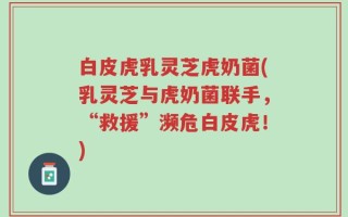 白皮虎乳灵芝虎奶菌(乳灵芝与虎奶菌联手，“救援”濒危白皮虎！)