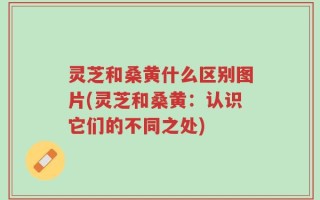 灵芝和桑黄什么区别图片(灵芝和桑黄：认识它们的不同之处)