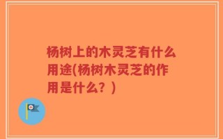 杨树上的木灵芝有什么用途(杨树木灵芝的作用是什么？)