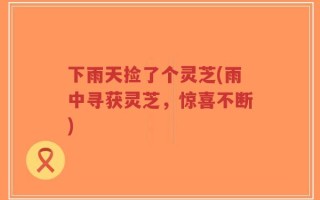 下雨天捡了个灵芝(雨中寻获灵芝，惊喜不断)