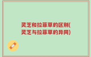 灵芝和拉菲草的区别(灵芝与拉菲草的异同)