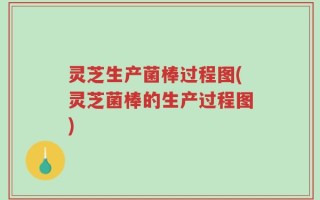 灵芝生产菌棒过程图(灵芝菌棒的生产过程图)