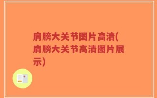 肩膀大关节图片高清(肩膀大关节高清图片展示)