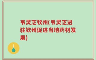 韦灵芝钦州(韦灵芝进驻钦州促进当地药材发展)