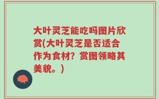 大叶灵芝能吃吗图片欣赏(大叶灵芝是否适合作为食材？赏图领略其美貌。)