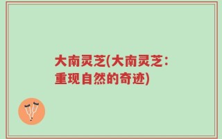 大南灵芝(大南灵芝：重现自然的奇迹)