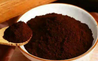 哪里生产的灵芝孢子粉最好？很多人都建议买泰山灵芝
