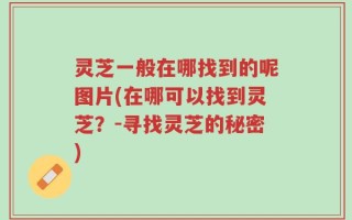 灵芝一般在哪找到的呢图片(在哪可以找到灵芝？-寻找灵芝的秘密)