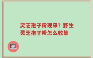灵芝孢子粉现采？野生灵芝孢子粉怎么收集