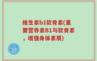 维生素b1软骨素(重要营养素B1与软骨素，增强身体素质)