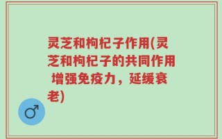 灵芝和枸杞子作用(灵芝和枸杞子的共同作用 增强免疫力，延缓衰老)