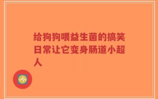 给狗狗喂益生菌的搞笑日常让它变身肠道小超人