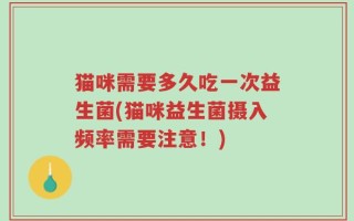 猫咪需要多久吃一次益生菌(猫咪益生菌摄入频率需要注意！)