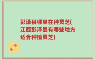 彭泽县哪里在种灵芝(江西彭泽县有哪些地方适合种植灵芝)