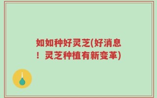 如如种好灵芝(好消息！灵芝种植有新变革)