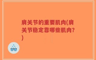 肩关节的重要肌肉(肩关节稳定靠哪些肌肉？)