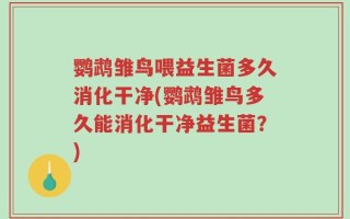 鹦鹉雏鸟喂益生菌多久消化干净(鹦鹉雏鸟多久能消化干净益生菌？)