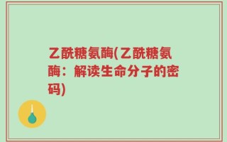 乙酰糖氨酶(乙酰糖氨酶：解读生命分子的密码)