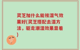 灵芝加什么能祛湿气效果好(灵芝搭配去湿方法，驱走潮湿效果显着)