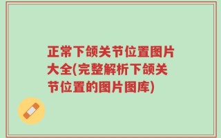 正常下颌关节位置图片大全(完整解析下颌关节位置的图片图库)