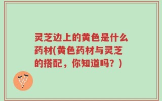 灵芝边上的黄色是什么药材(黄色药材与灵芝的搭配，你知道吗？)