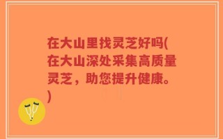 在大山里找灵芝好吗(在大山深处采集高质量灵芝，助您提升健康。)