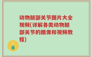 动物腿部关节图片大全视频(详解各类动物腿部关节的图像和视频教程)