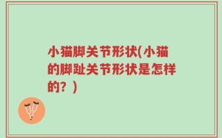 小猫脚关节形状(小猫的脚趾关节形状是怎样的？)