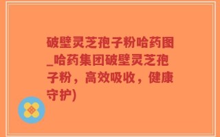 破壁灵芝孢子粉哈药图_哈药集团破壁灵芝孢子粉，高效吸收，健康守护)