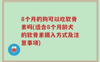 8个月的狗可以吃软骨素吗(适合8个月龄犬的软骨素摄入方式及注意事项)