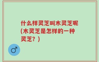 什么样灵芝叫木灵芝呢(木灵芝是怎样的一种灵芝？)