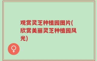 观赏灵芝种植园图片(欣赏美丽灵芝种植园风光)
