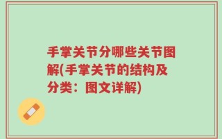 手掌关节分哪些关节图解(手掌关节的结构及分类：图文详解)