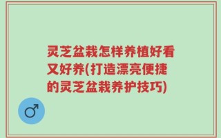 灵芝盆栽怎样养植好看又好养(打造漂亮便捷的灵芝盆栽养护技巧)
