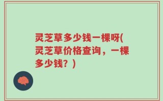 灵芝草多少钱一棵呀(灵芝草价格查询，一棵多少钱？)