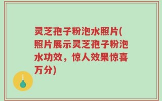 灵芝孢子粉泡水照片(照片展示灵芝孢子粉泡水功效，惊人效果惊喜万分)