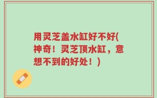 用灵芝盖水缸好不好(神奇！灵芝顶水缸，意想不到的好处！)