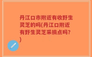 丹江口市附近有收野生灵芝的吗(丹江口附近有野生灵芝采摘点吗？)