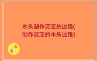 木头制作灵芝的过程(制作灵芝的木头过程)