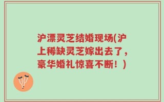 沪漂灵芝结婚现场(沪上稀缺灵芝嫁出去了，豪华婚礼惊喜不断！)