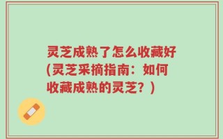 灵芝成熟了怎么收藏好(灵芝采摘指南：如何收藏成熟的灵芝？)