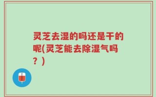 灵芝去湿的吗还是干的呢(灵芝能去除湿气吗？)