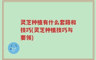 灵芝种植有什么套路和技巧(灵芝种植技巧与要领)
