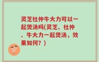 灵芝杜仲牛大力可以一起煲汤吗(灵芝、杜仲、牛大力一起煲汤，效果如何？)