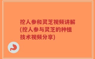挖人参和灵芝视频讲解(挖人参与灵芝的种植技术视频分享)